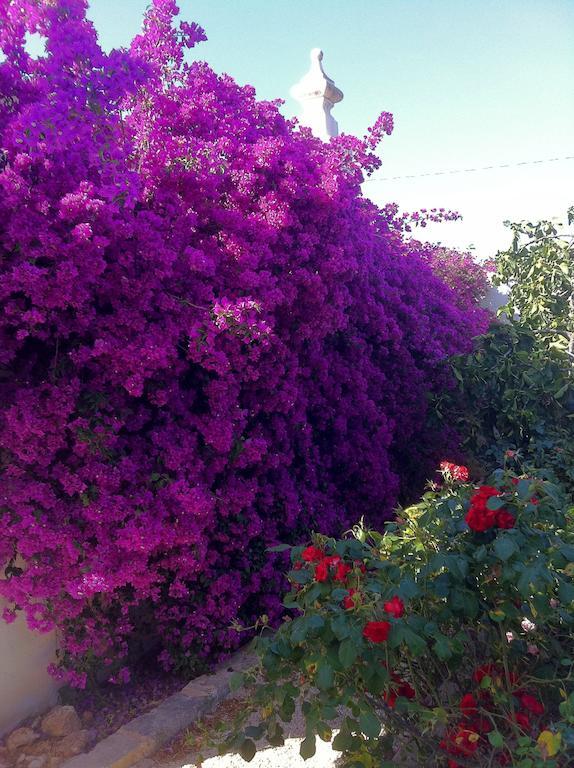 Masseria Torremossa Fasano Dış mekan fotoğraf